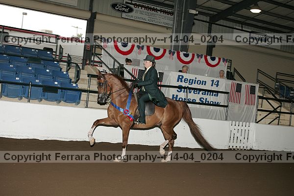 Proof Number r14-04_0204